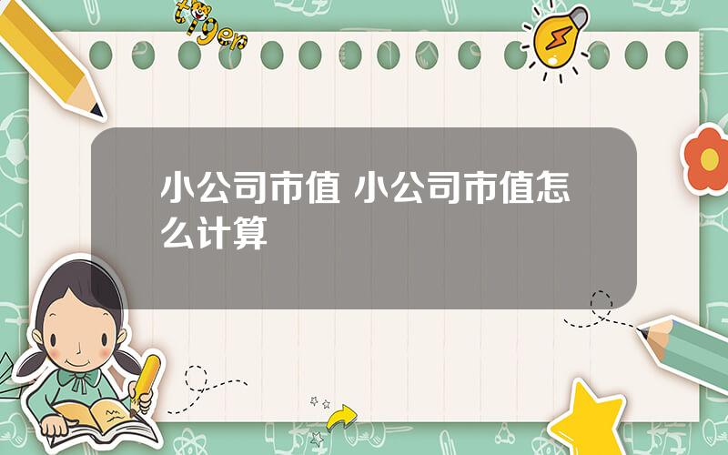 小公司市值 小公司市值怎么计算